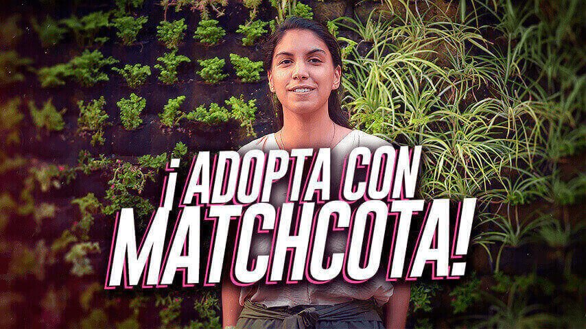 Matchcota: La plataforma que te ayudará a encontrar a tu mascota ideal