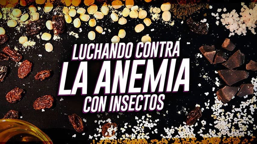 Demolitor: La barra proteica hecha de insectos