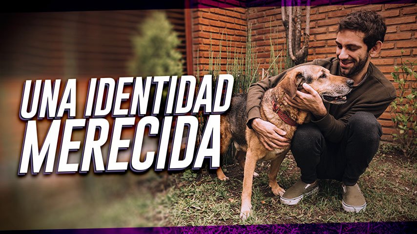 Mascotas con identidad: Conoce al RENIAN