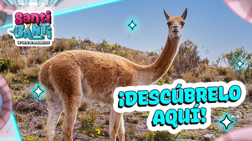 Esto hace únicos a los animales terrestres