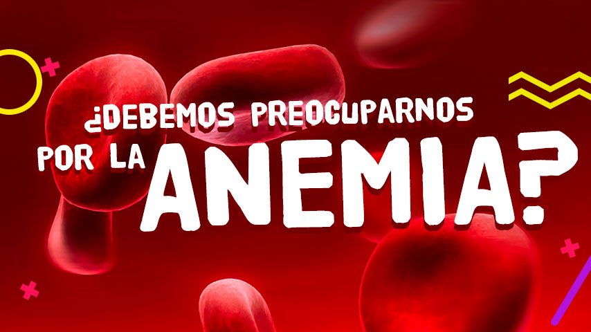 La anemia, el enemigo de nuestra sangre