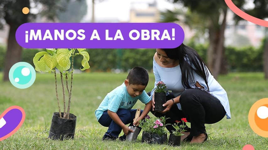 Estos son los vegetales que puedes sembrar con tus hijos en casa