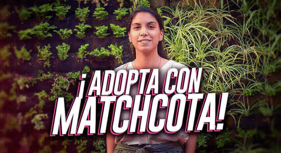 Matchcota: La plataforma que te ayudará a encontrar a tu mascota ideal