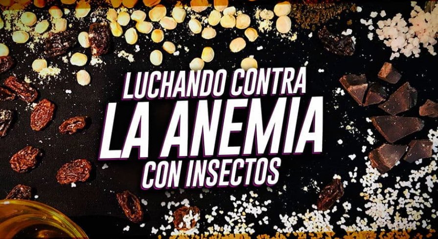 Demolitor: La barra proteica hecha de insectos