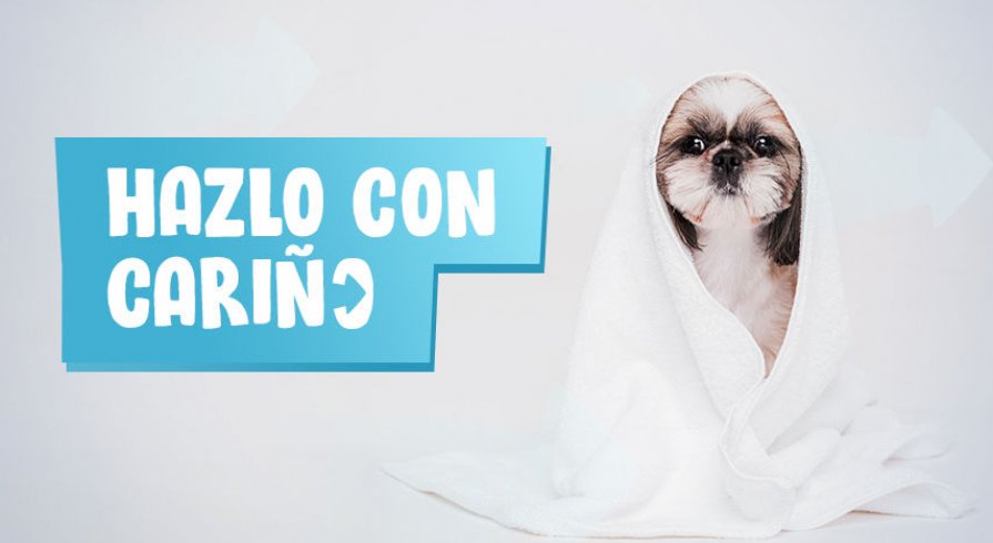 Consejos para bañar a las mascotas en casa