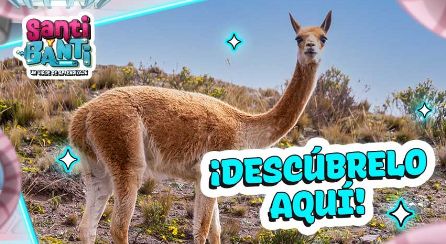 Esto hace únicos a los animales terrestres