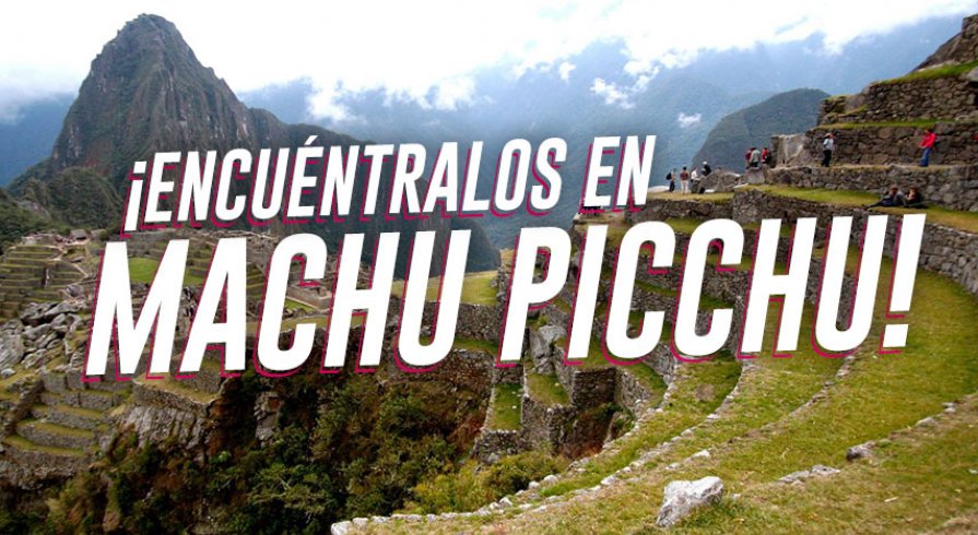 Estos son los animales que puedes ver en Machu Picchu