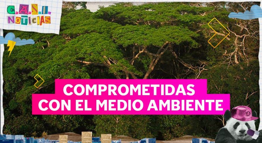 ¡'Army' peruana ha adoptado un bosque en Madre de Dios en homenaje a BTS!