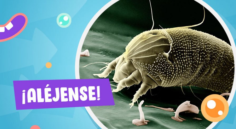 Esto es lo que debes hacer para que los ácaros no afecten la salud de los chicos