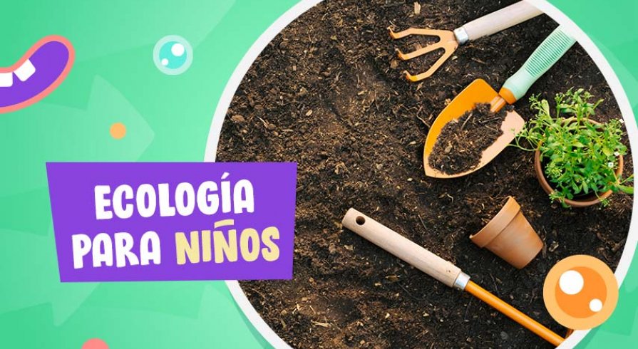 ¡Aprende cómo hacer compost en casa con tus hijos!