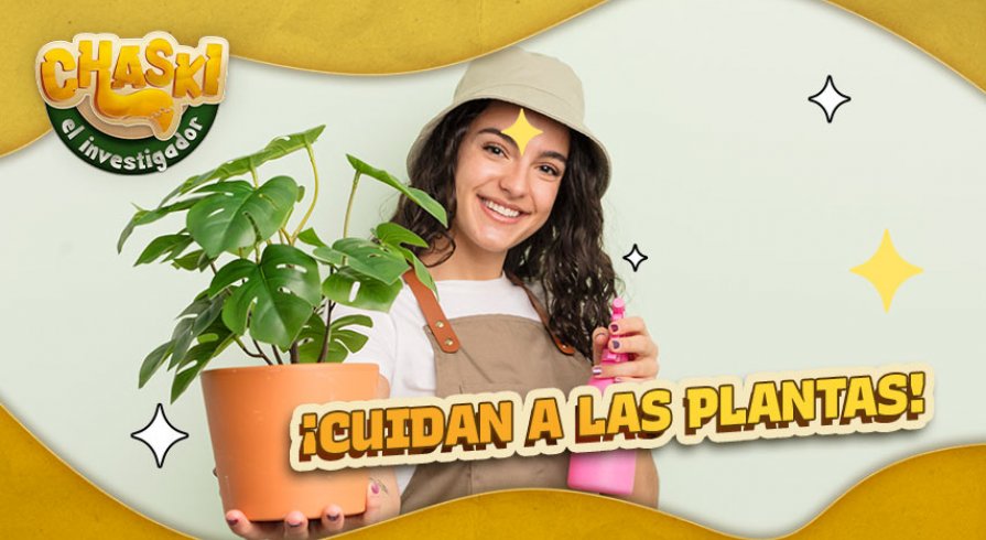 Los jardineros son los guardianes de la belleza de la ciudad