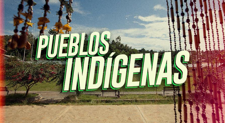 ¿Cuánto sabes de nuestros pueblos indígenas u originarios? Descúbrelo con este test