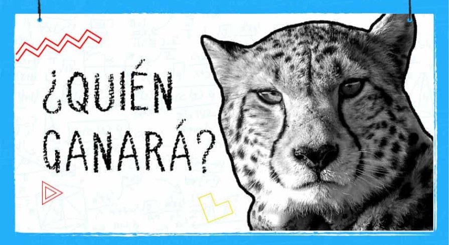 Mundo Matemático: La relación entre la velocidad y aceleración