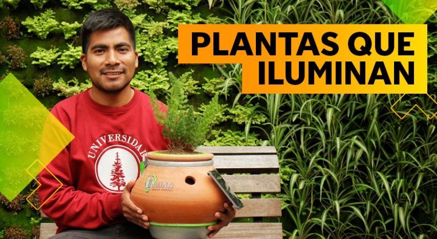 Hernán Asto, el joven ingeniero que logró generar energía eléctrica con plantas