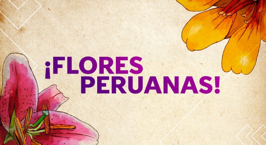 Estas son las flores más bonitas de todo el Perú