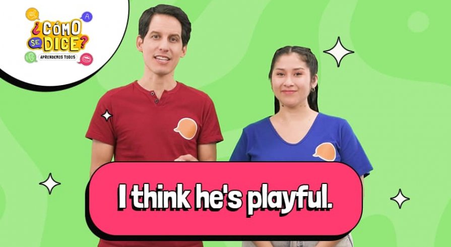 ¡Diviértete aprendiendo a hablar de mascotas en inglés!