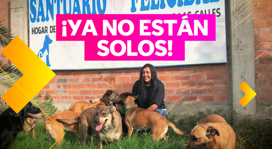 La estudiante de veterinaria que le devuelve la felicidad a los animales abandonados