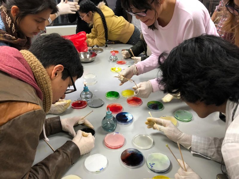 Haciendo nuestro primer microscopio - In Situ