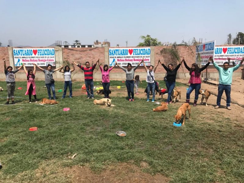 La estudiante de veterinaria que le devuelve la felicidad a los animales abandonados