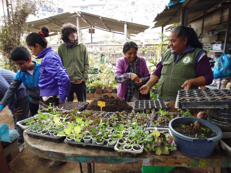 La Lombriz Feliz: estas mujeres transforman la basura en oro