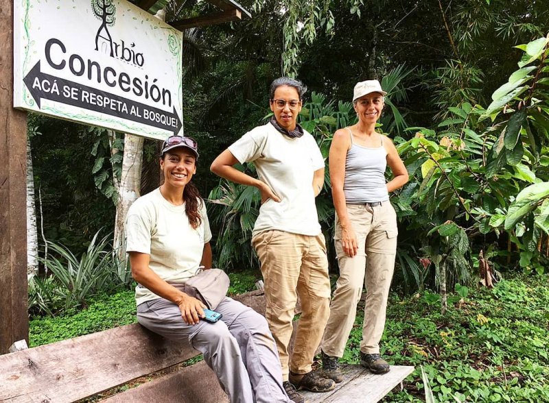 Tú puedes salvar los árboles de la selva peruana con Arbio