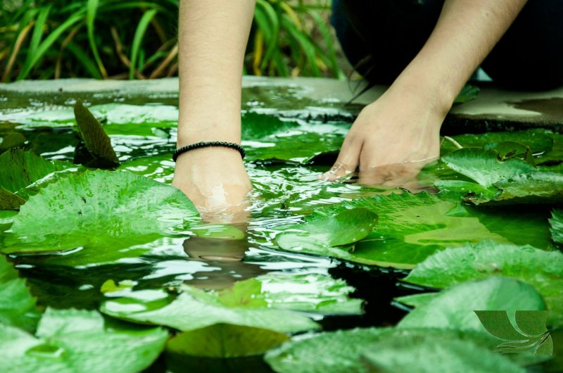 El Jardín de los Sentidos: un espacio para que los invidentes conecten con la naturaleza