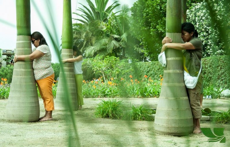 El Jardín de los Sentidos: un espacio para que los invidentes conecten con la naturaleza