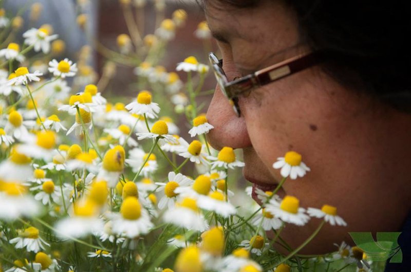 El Jardín de los Sentidos: un espacio para que los invidentes conecten con la naturaleza