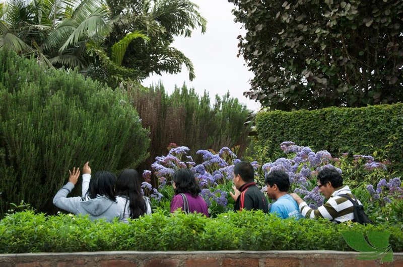 El Jardín de los Sentidos: un espacio para que los invidentes conecten con la naturaleza