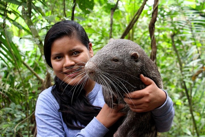 ¡Los centros de rescate animal necesitan nuestra ayuda!