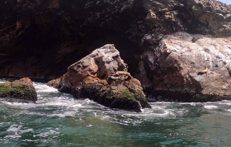 Islas Ballestas