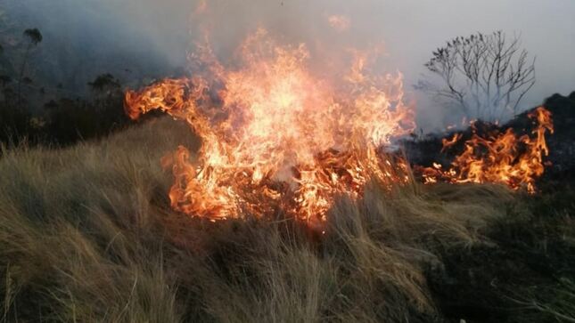 incendios forestales