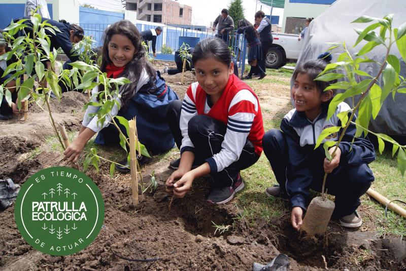 Un árbol para un niño. Créditos de la foto: Facebook