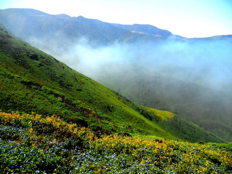 Lomas de Lima, Lomas de Paraiso